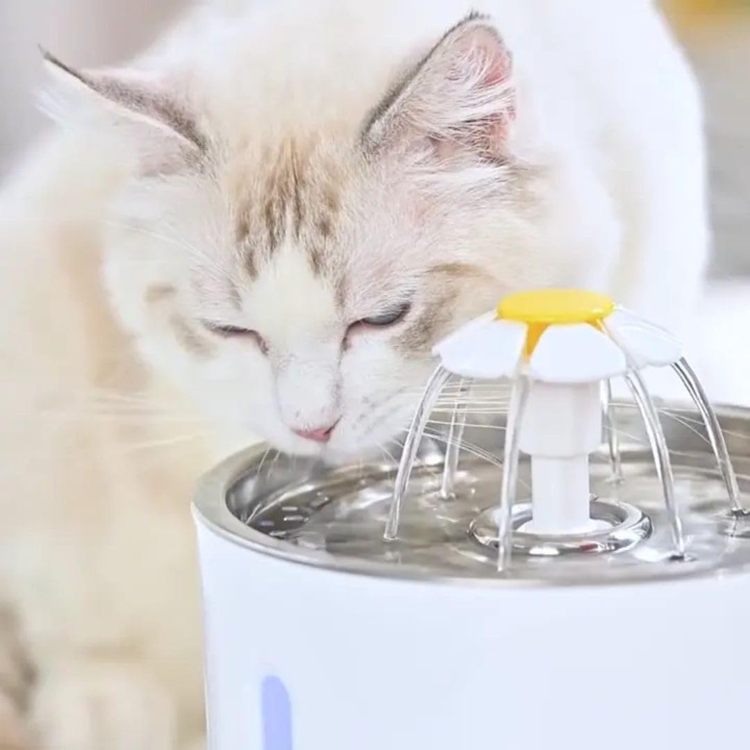 AquaWhisk Cat Fountain