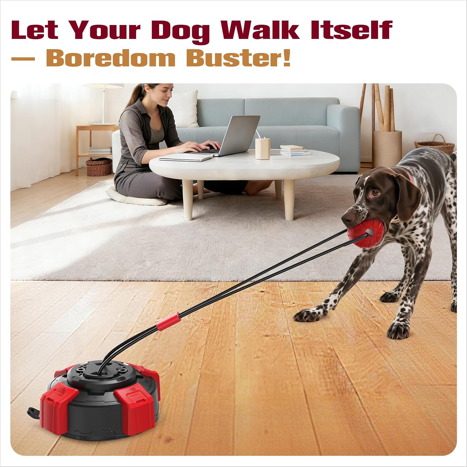 Interactive Dog Tug Toy with Elastic Rope Bouncing Ball