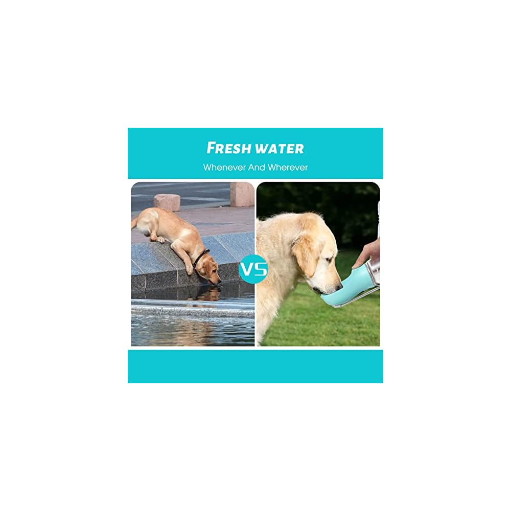 Portable Dog Water Bottle