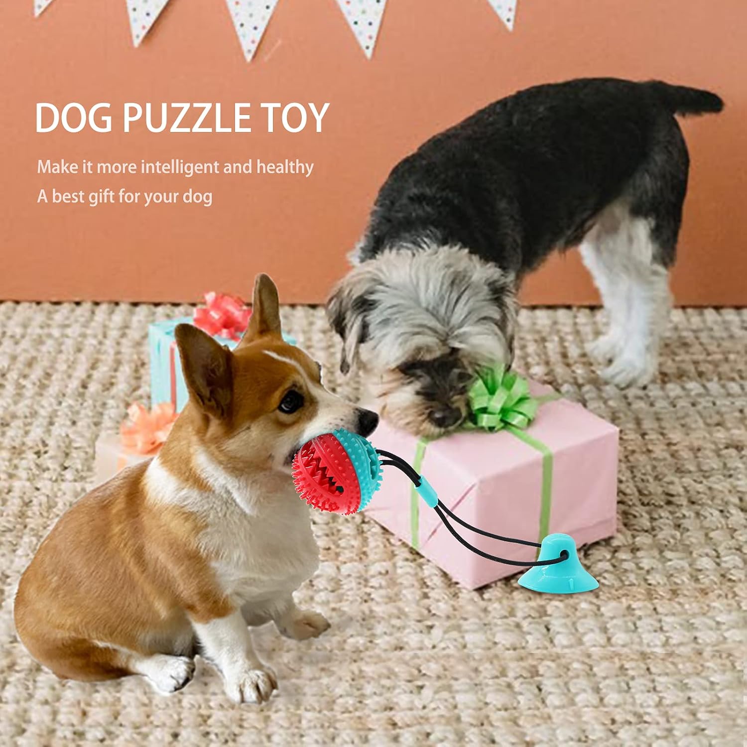 Dog Suction Cup Tug Toy