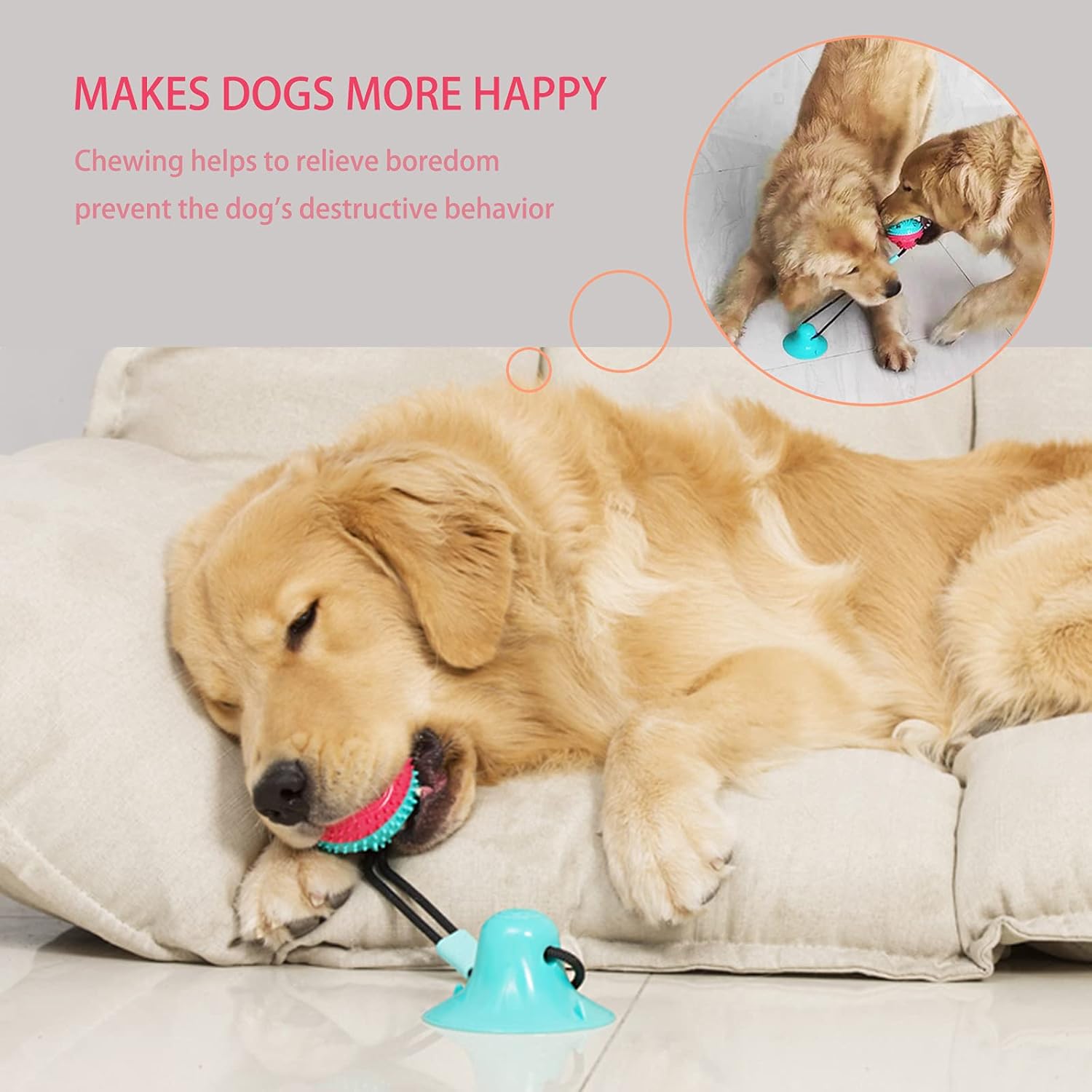 Dog Suction Cup Tug Toy