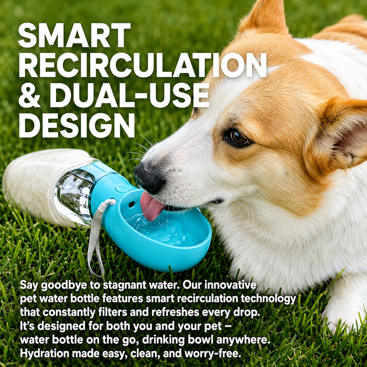 Portable Dog Water Bottle